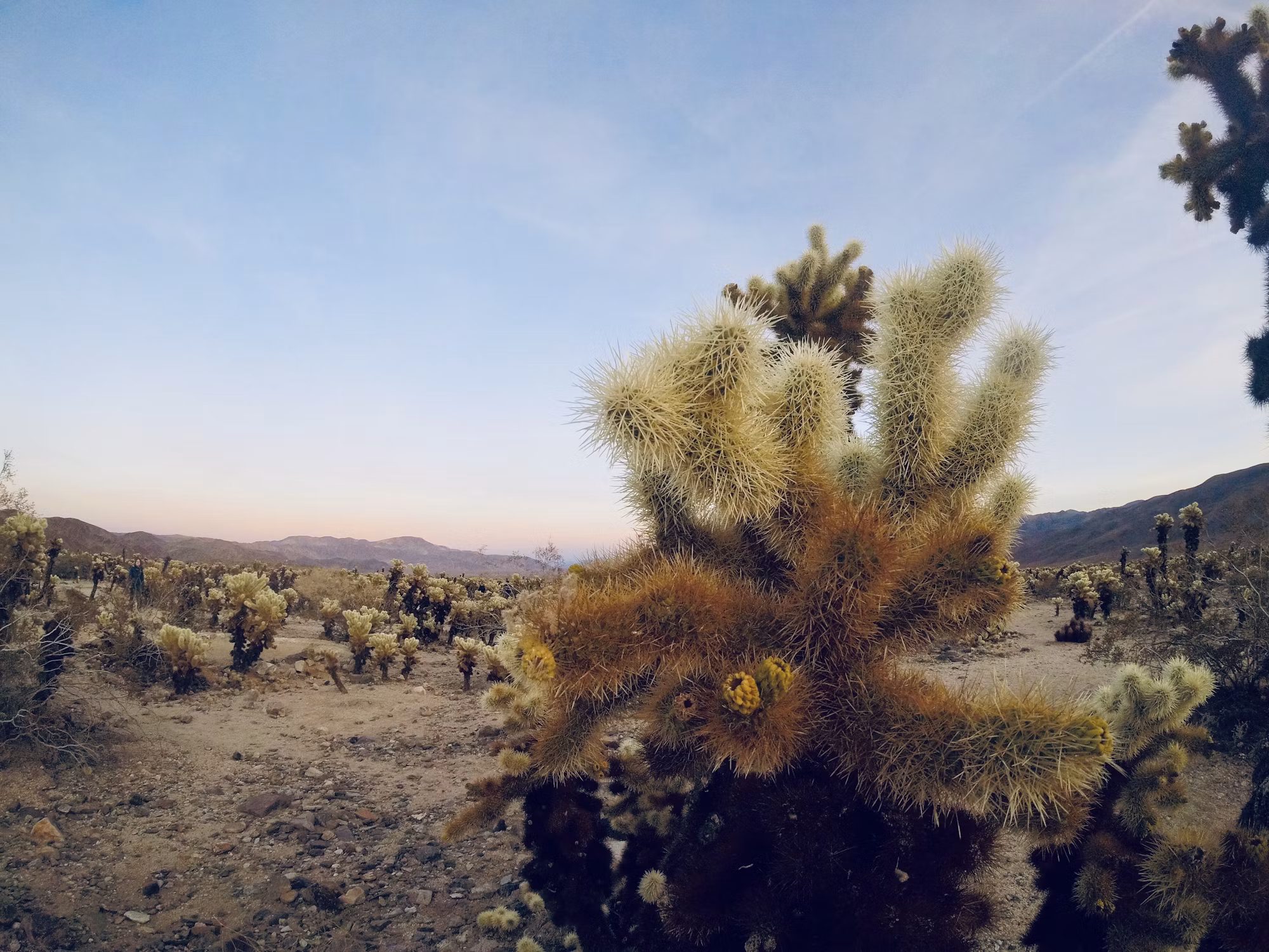 The Joy of Solo Travel: Embrace Independence and Discover Yourself